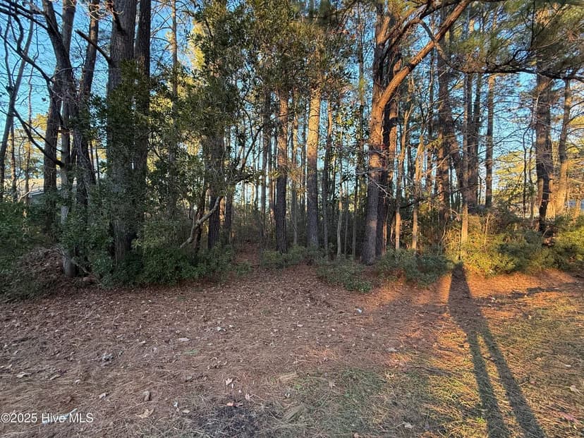 Vacant Land in New Bern