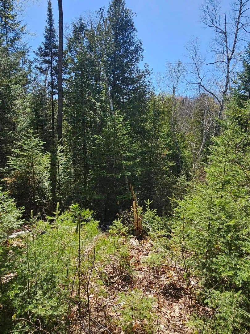 Property from 2.95 AC Squires Drive - KW