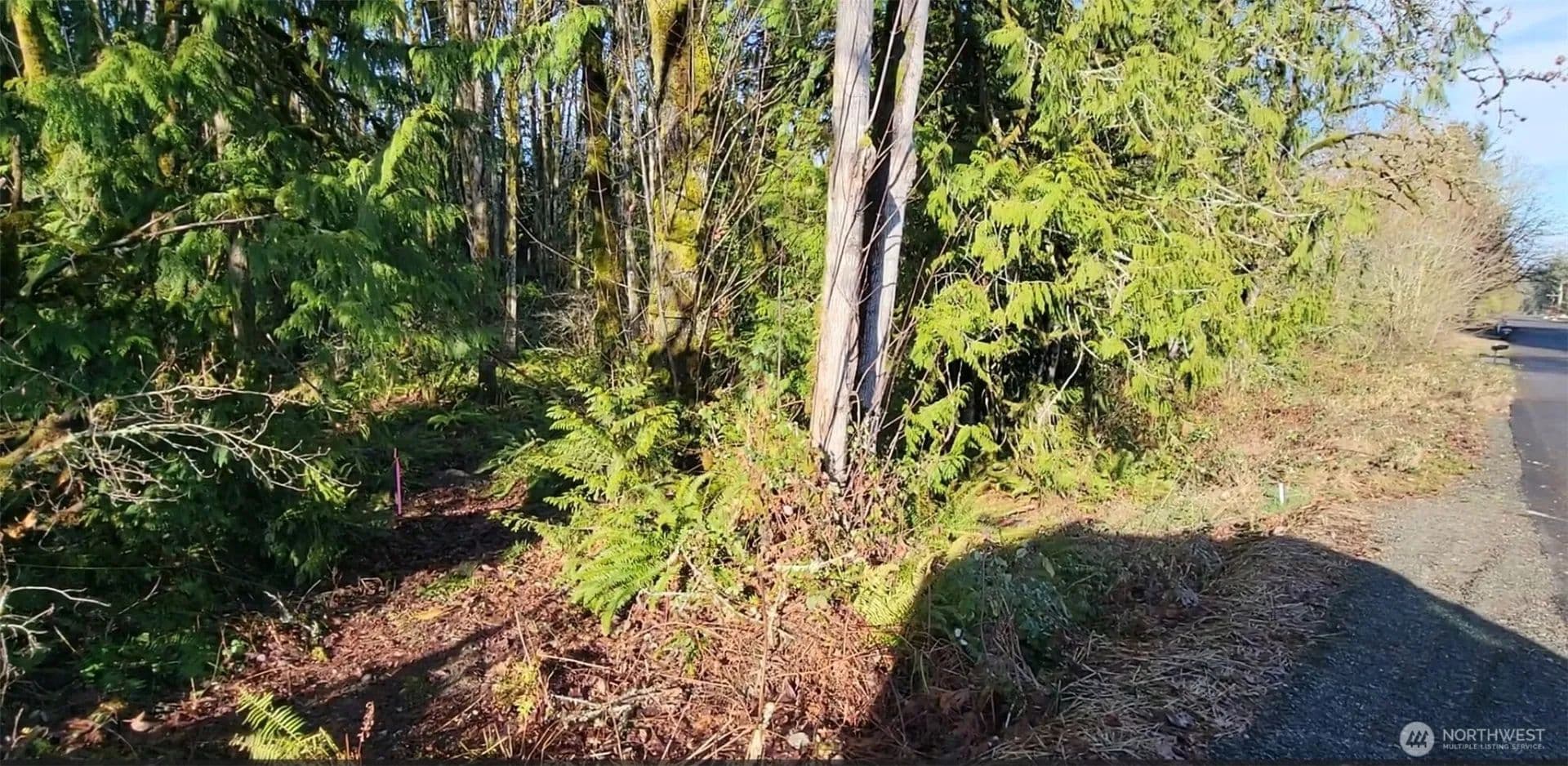 Vacant Land in Manchester - Manchester, Washington, 98353