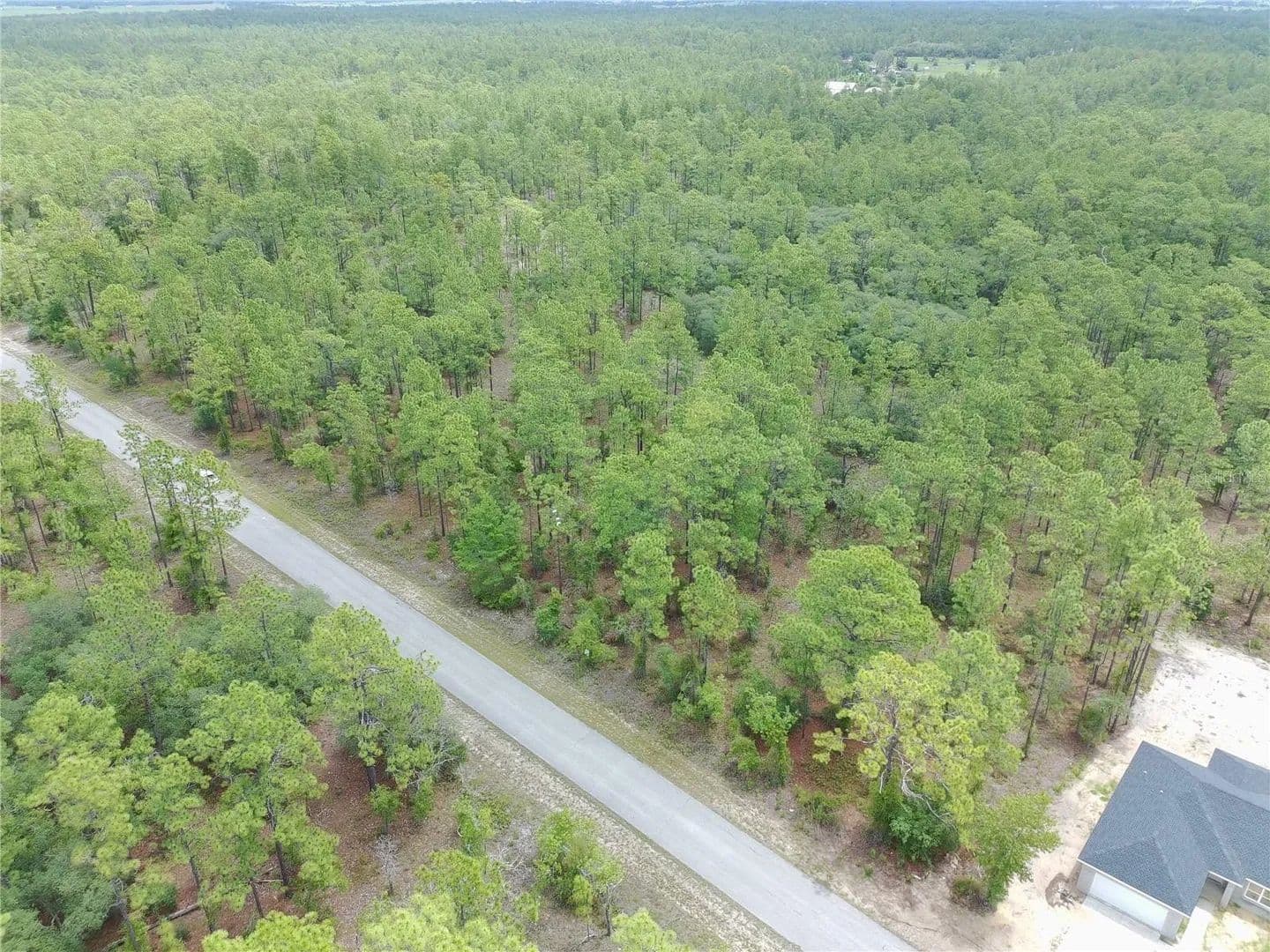 Property from SW BUENA VISTA ROAD - KW - Dunnellon, Florida, 34431