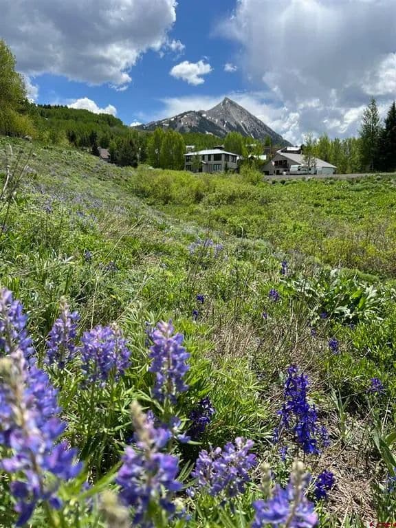 Property from 379 S Avion Drive - KW - Crested Butte, Colorado, 81224
