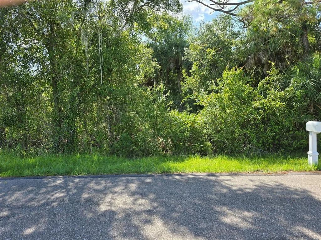 Vacant Land in Port Charlotte - Port Charlotte, Florida, 33952