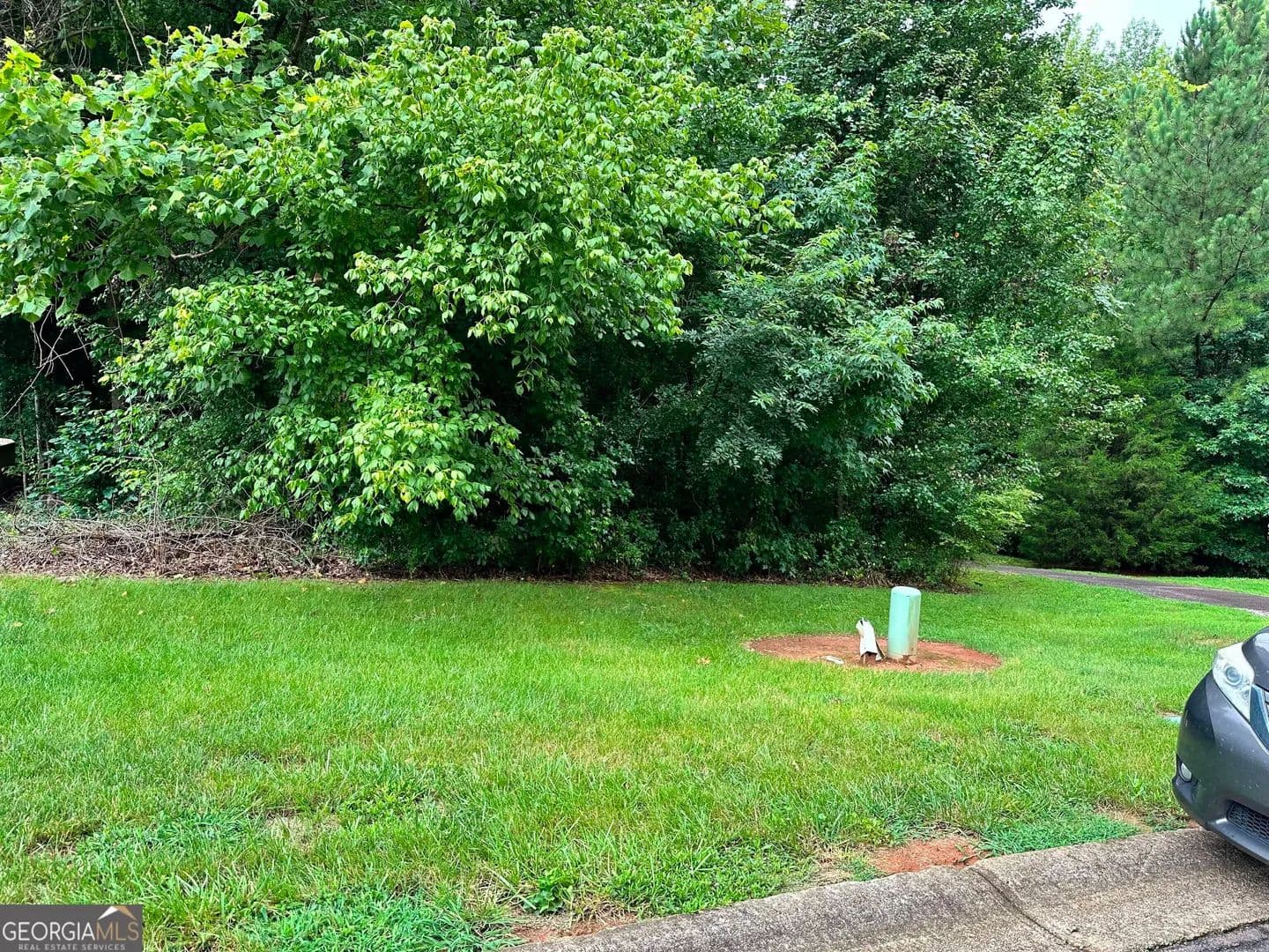 0.82 Acres of Land for Sale in Gainesville, GA - Gainesville, Georgia, 30506