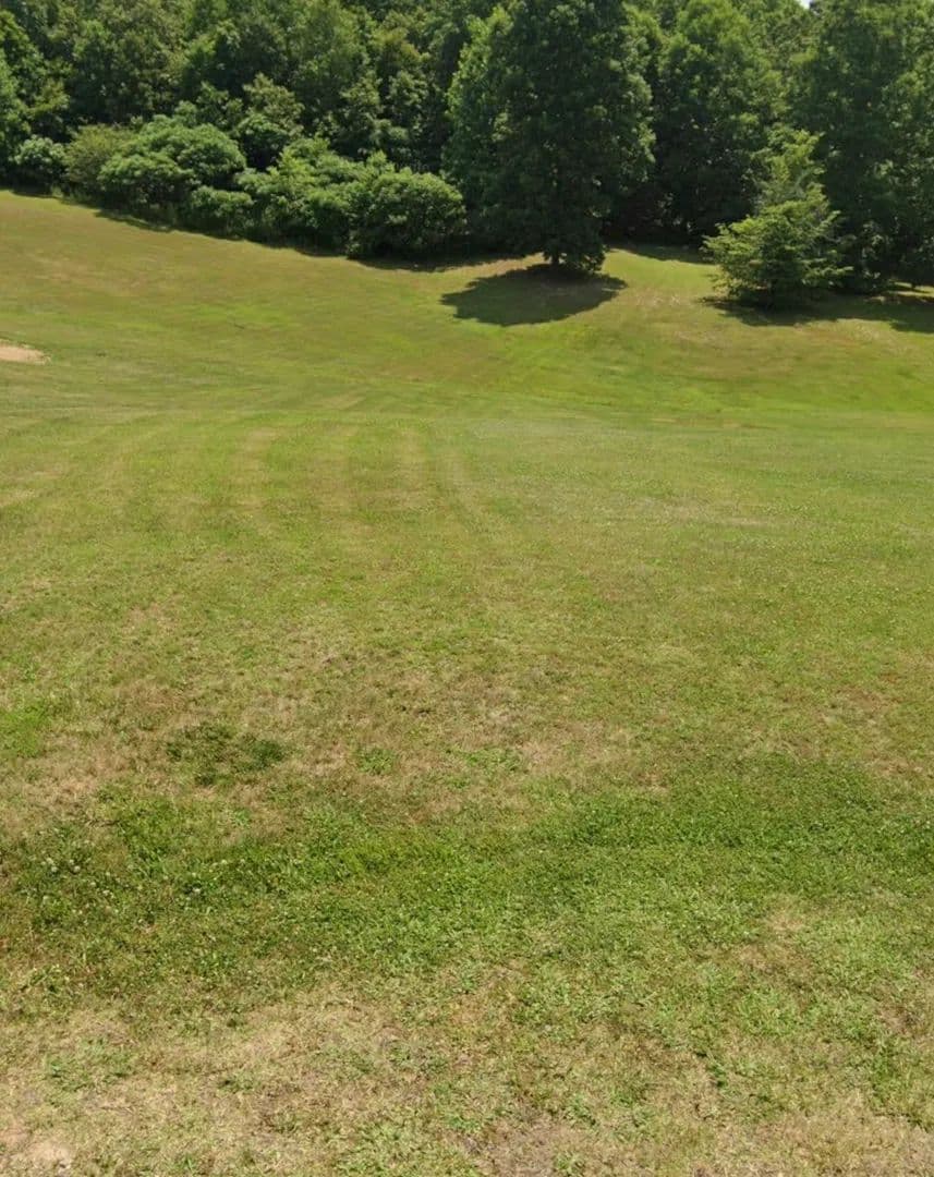 Vacant Land in Centerville - Centerville, Tennessee, 37033