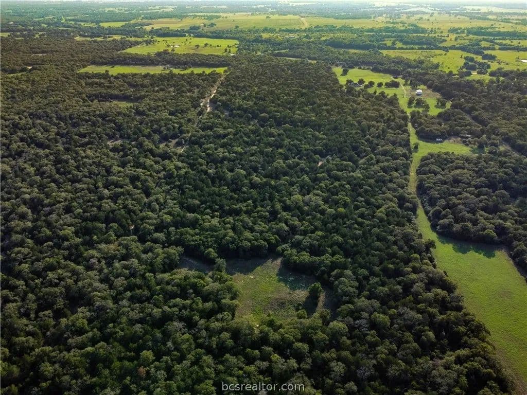 Vacant Land in Caldwell - Caldwell, Texas, 77836