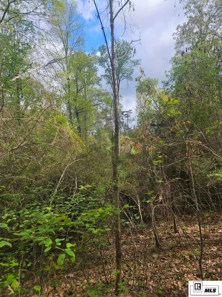 Vacant Land in Calhoun - Calhoun, Louisiana, 71225