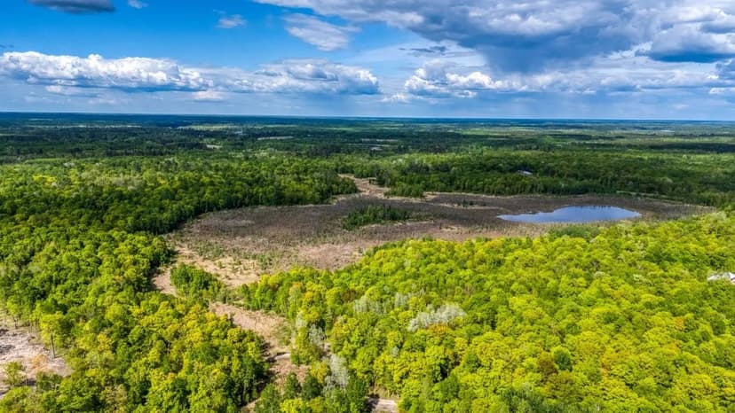 Vacant Land (10+ Acres) in Bemidji