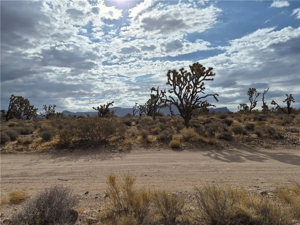 1.25 Acres of Land for Sale in Meadview, AZ - Meadview, Arizona, 86444