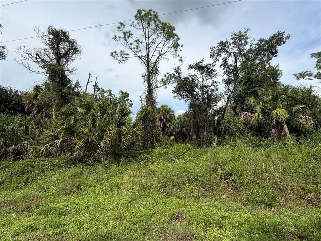Vacant Land in North Port - North Port, Florida, 34288