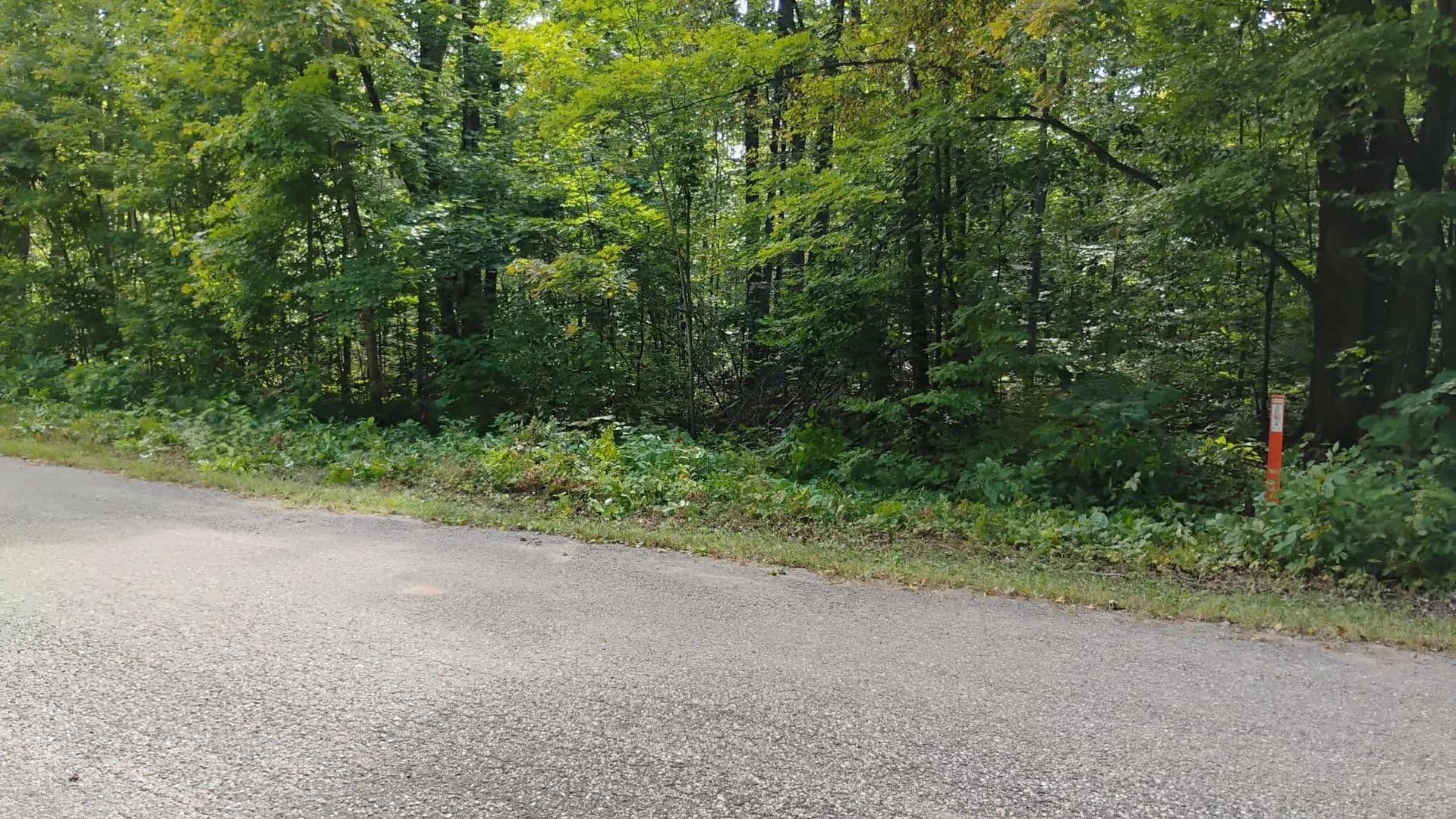 Vacant Land in Alba - Alba, Michigan, 49611
