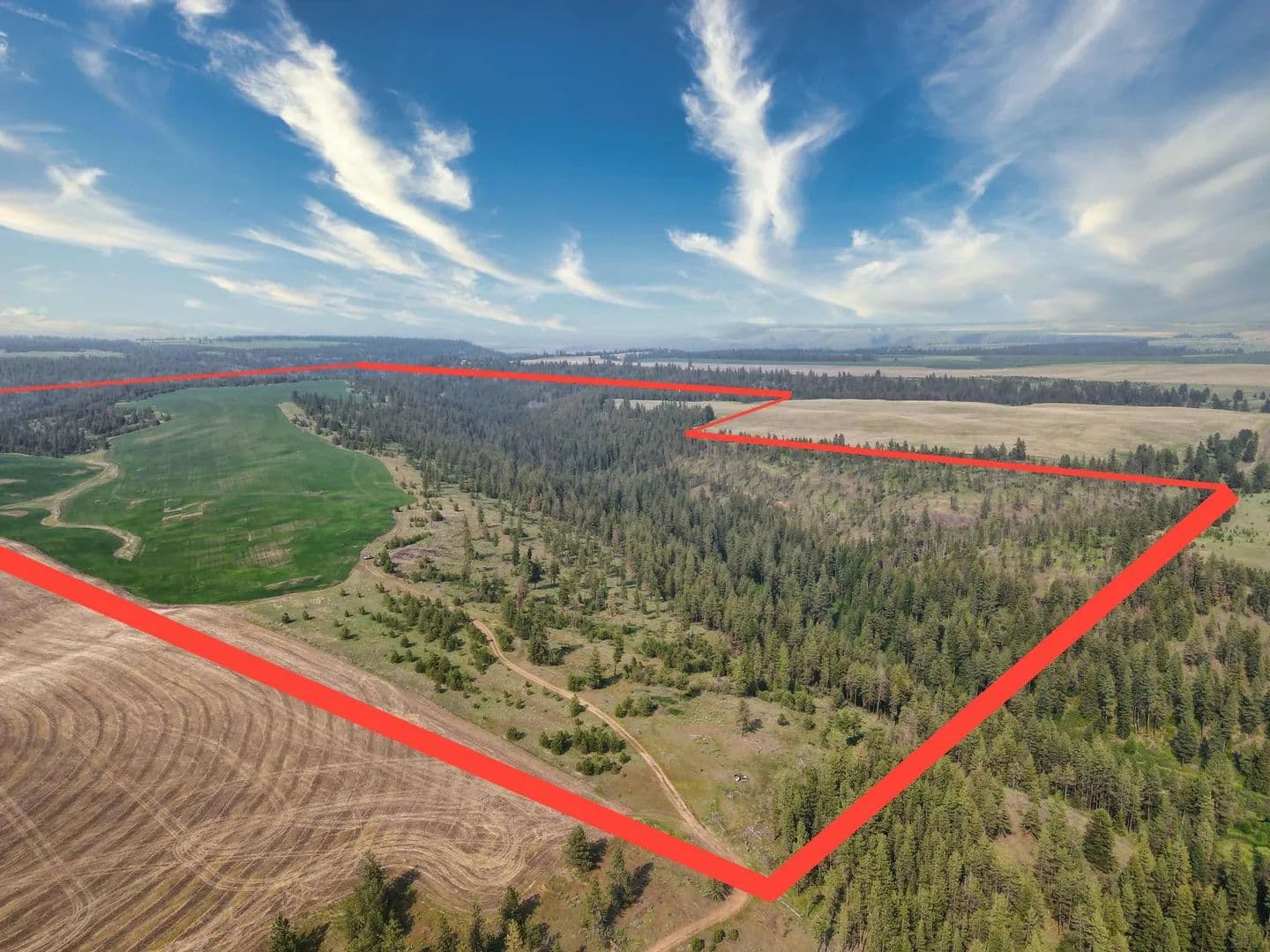 Vacant Land in Davenport - Davenport, Washington, 99122