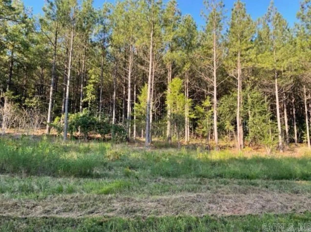 Lots & Land-Other in Conway - Conway, Arkansas, 72034