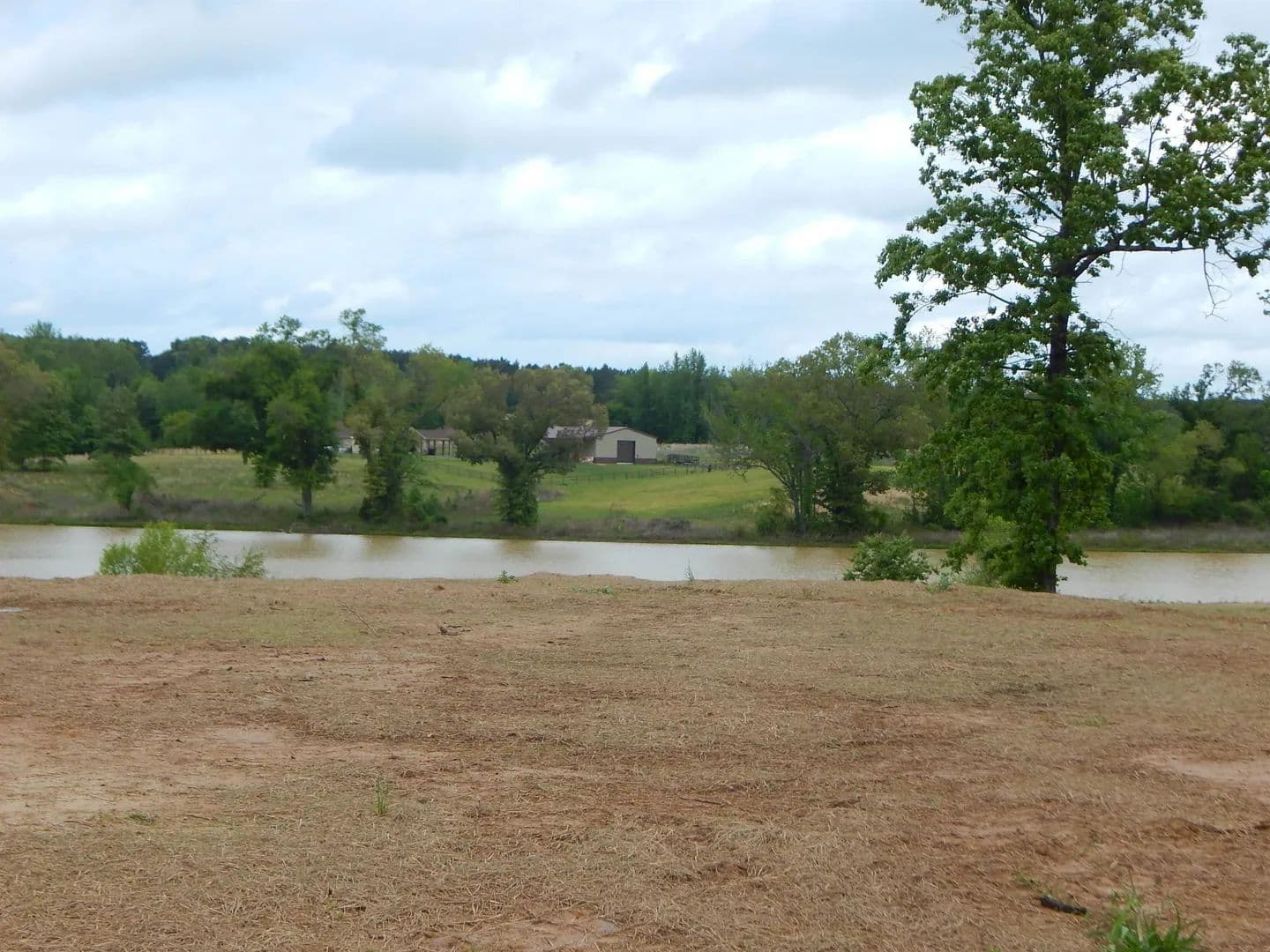 Vacant Land in Diana - Diana, Texas, 75640
