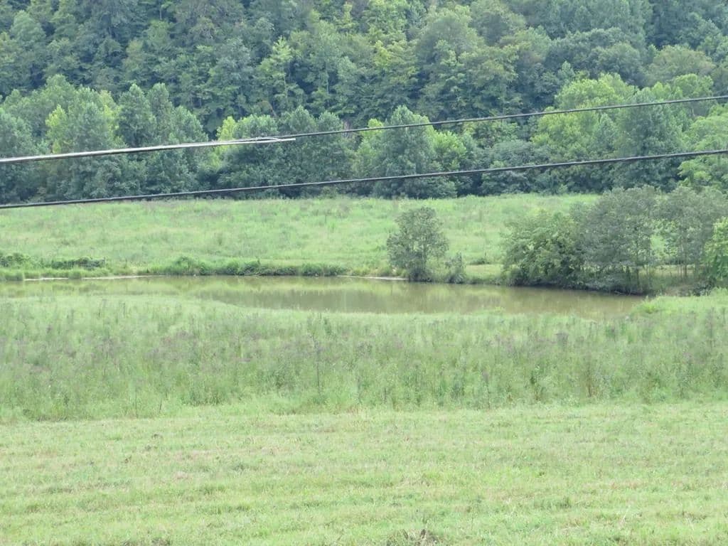 Lots & Land-Other in Louisa - Louisa, Kentucky, 41230