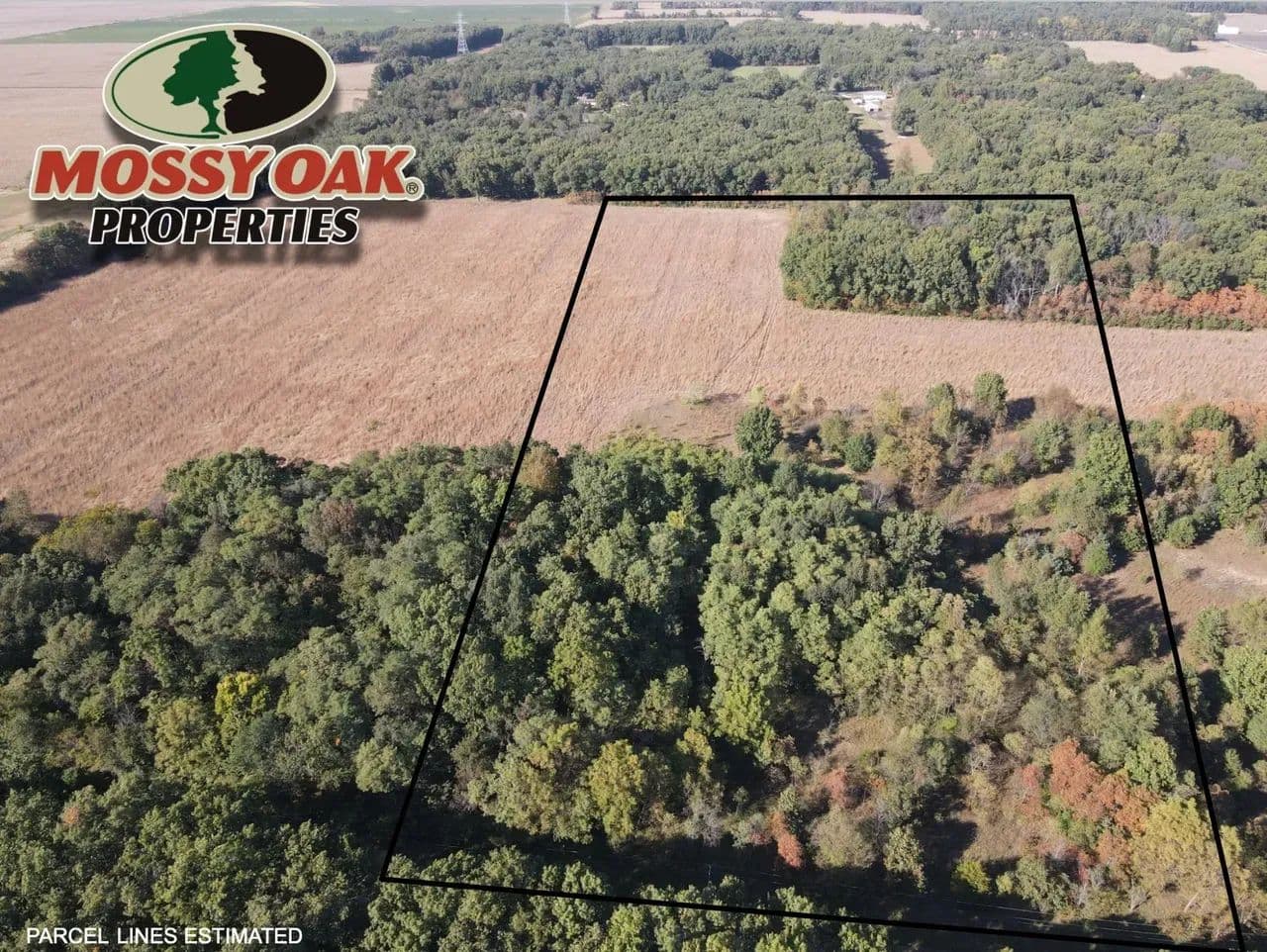 20 +/- ACRES - VACANT LAND - STARKE COUNTY - POTENTIAL BUILD SITE - RECREATIONAL LAND - Grovertown, Indiana, 46531
