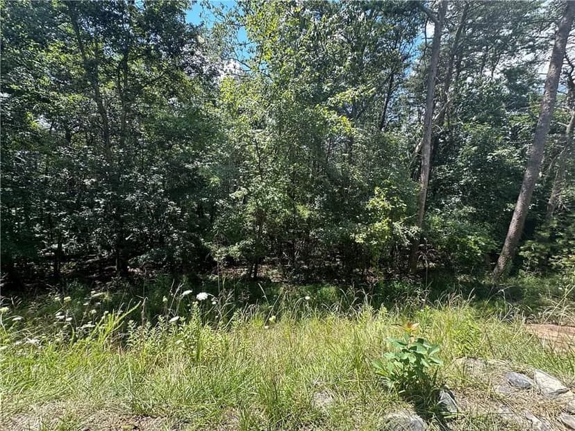 Vacant Land in Jasper