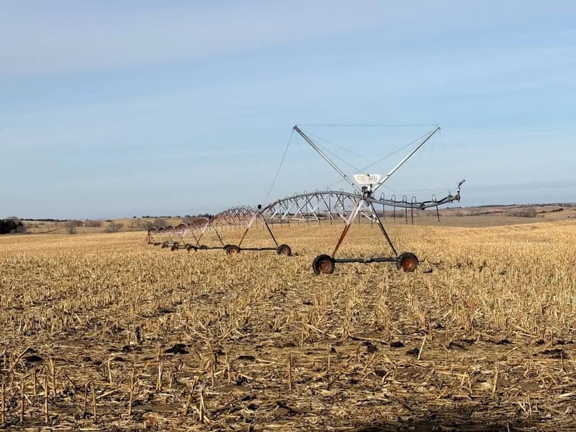 310 Acres +/- Antelope Co. Farmland & Pasture TRACT #2