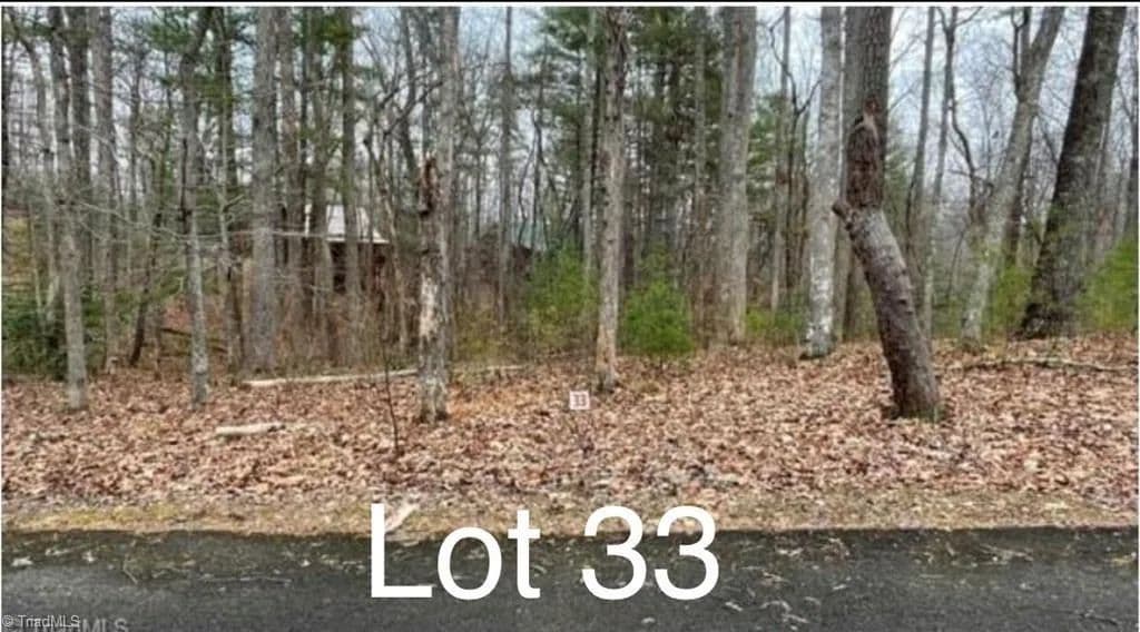 Vacant Land in Stuart - Stuart, Virginia, 24171