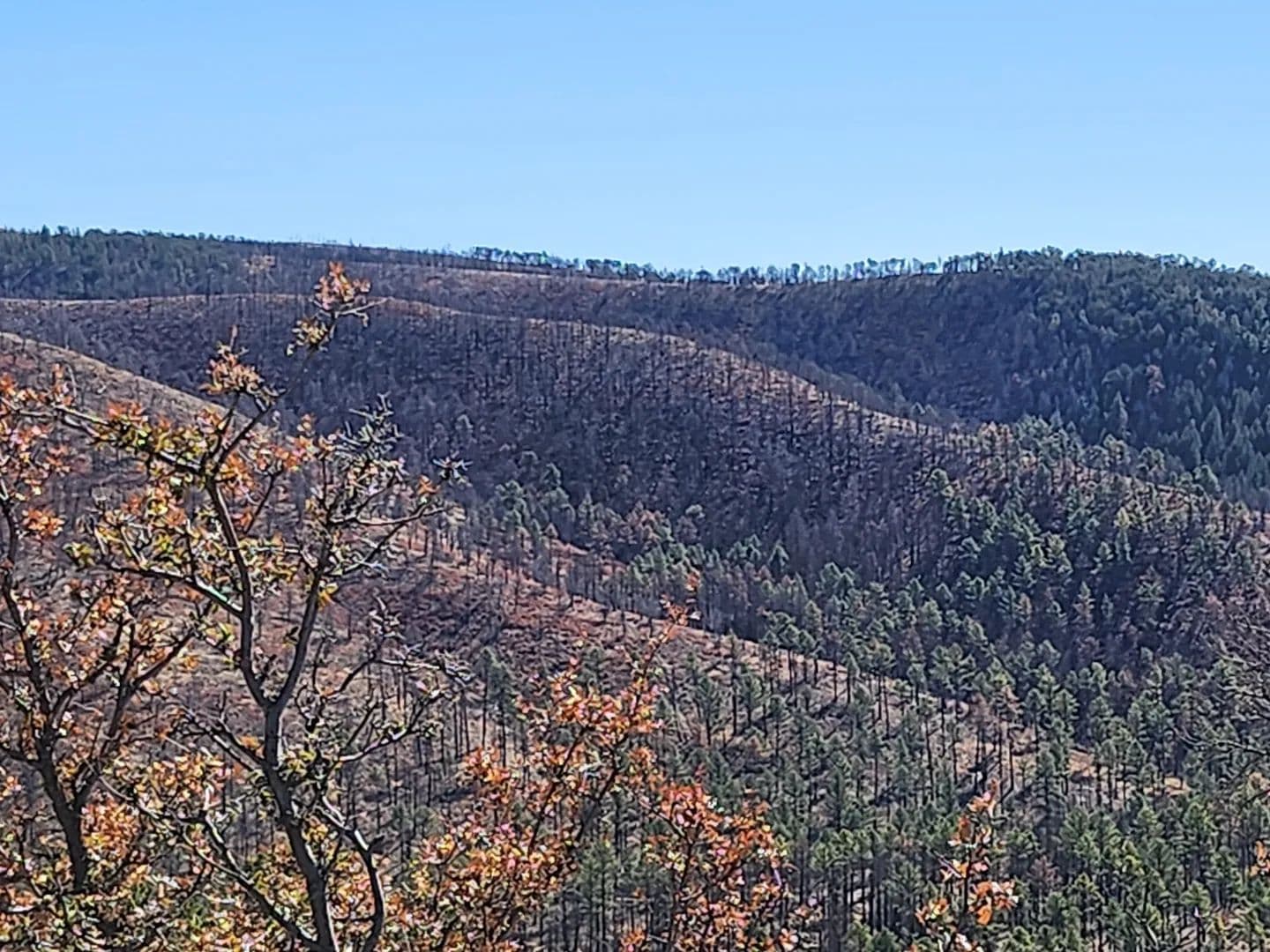 Land -Single Family Acreage in Ruidoso - Ruidoso, New Mexico, 88345