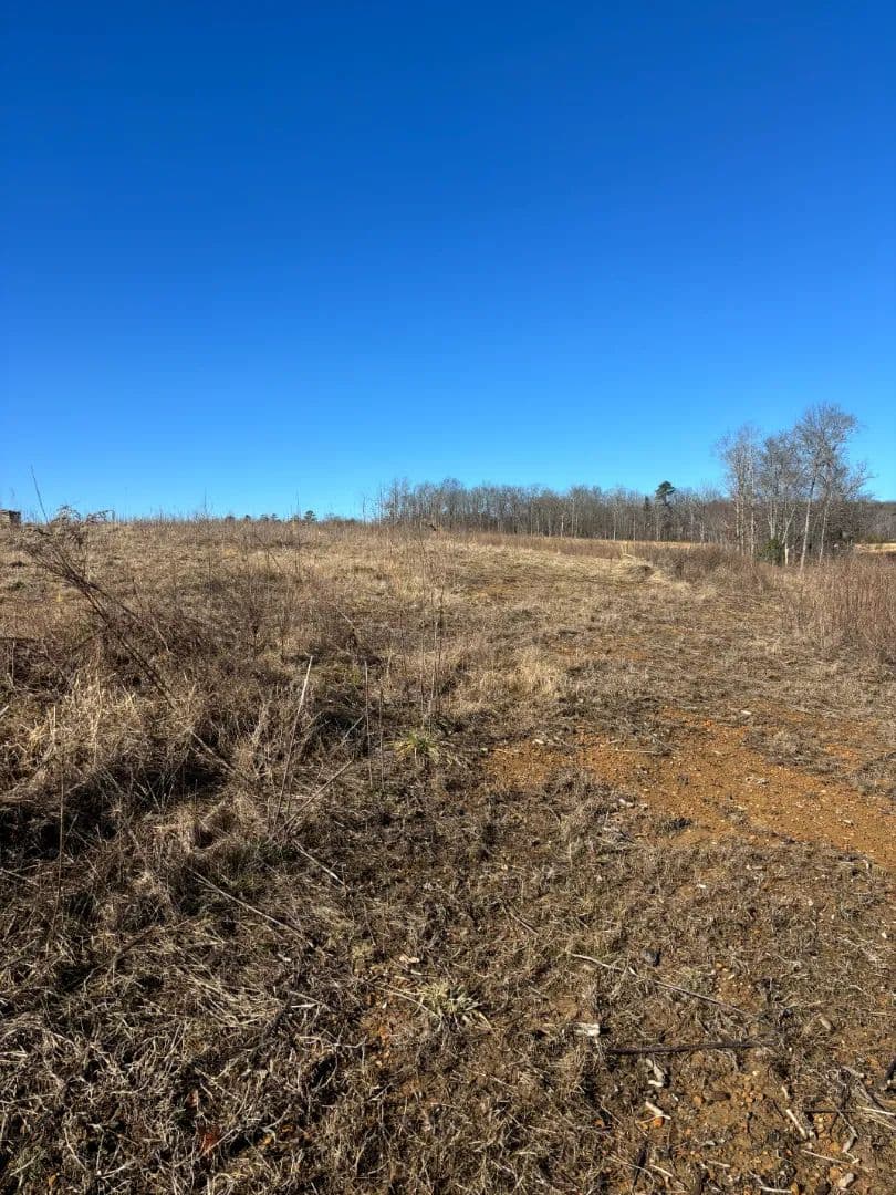 17 Acres in Bledsoe County, TN 