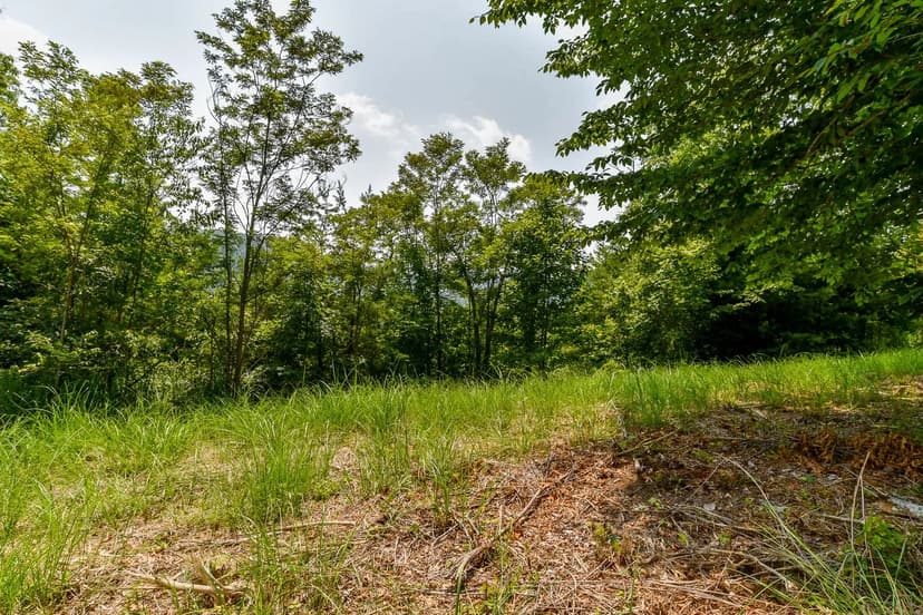 Vacant Land (0-10 Acres) in Marshall