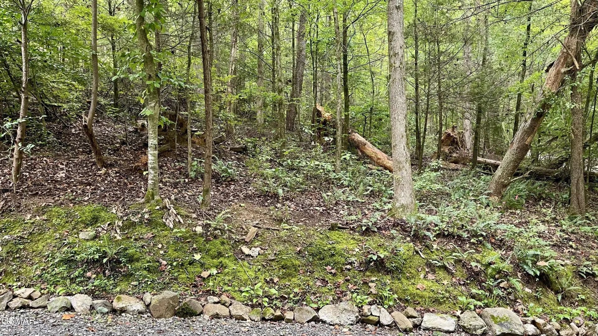 Vacant Land in Sevierville - Sevierville, Tennessee, 37862