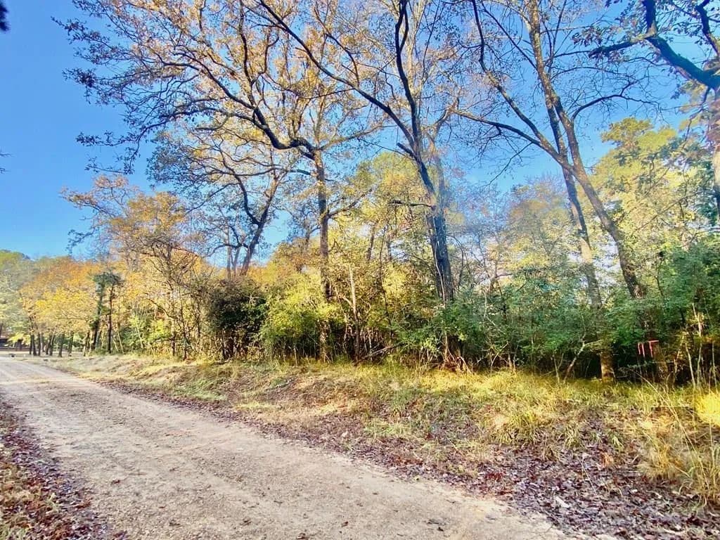Property from TBD Lakeview Circle - KW - Crockett, Texas, 75835