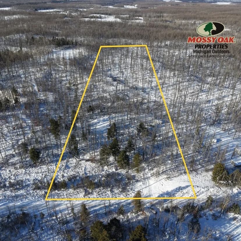 Nearly 10 Acres in Michigan's Elk Capital - Atlanta, MI