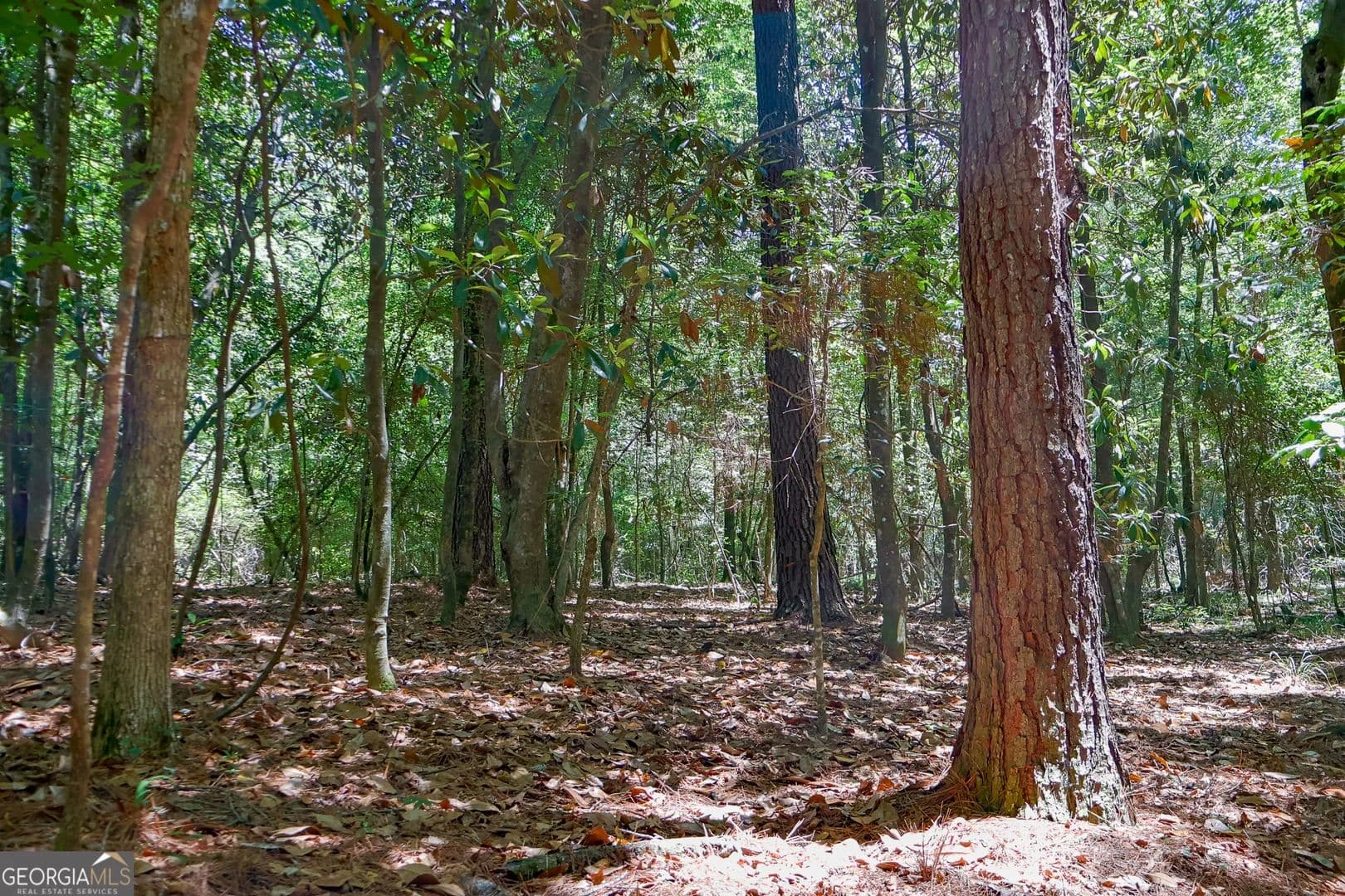 54 Acres of Land for Sale in Cochran, GA - Cochran, Georgia, 31014