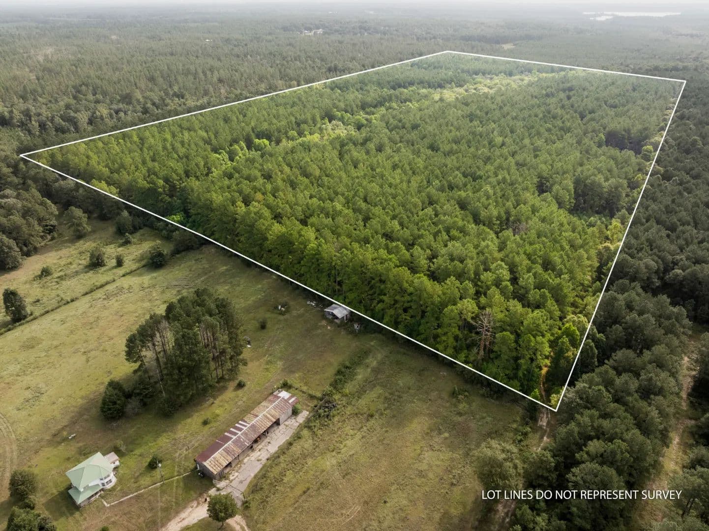 80 +/- Acres, Arthur Lowe Road, Lamar County, MS (Lumberton Area) - Mississippi, 39455