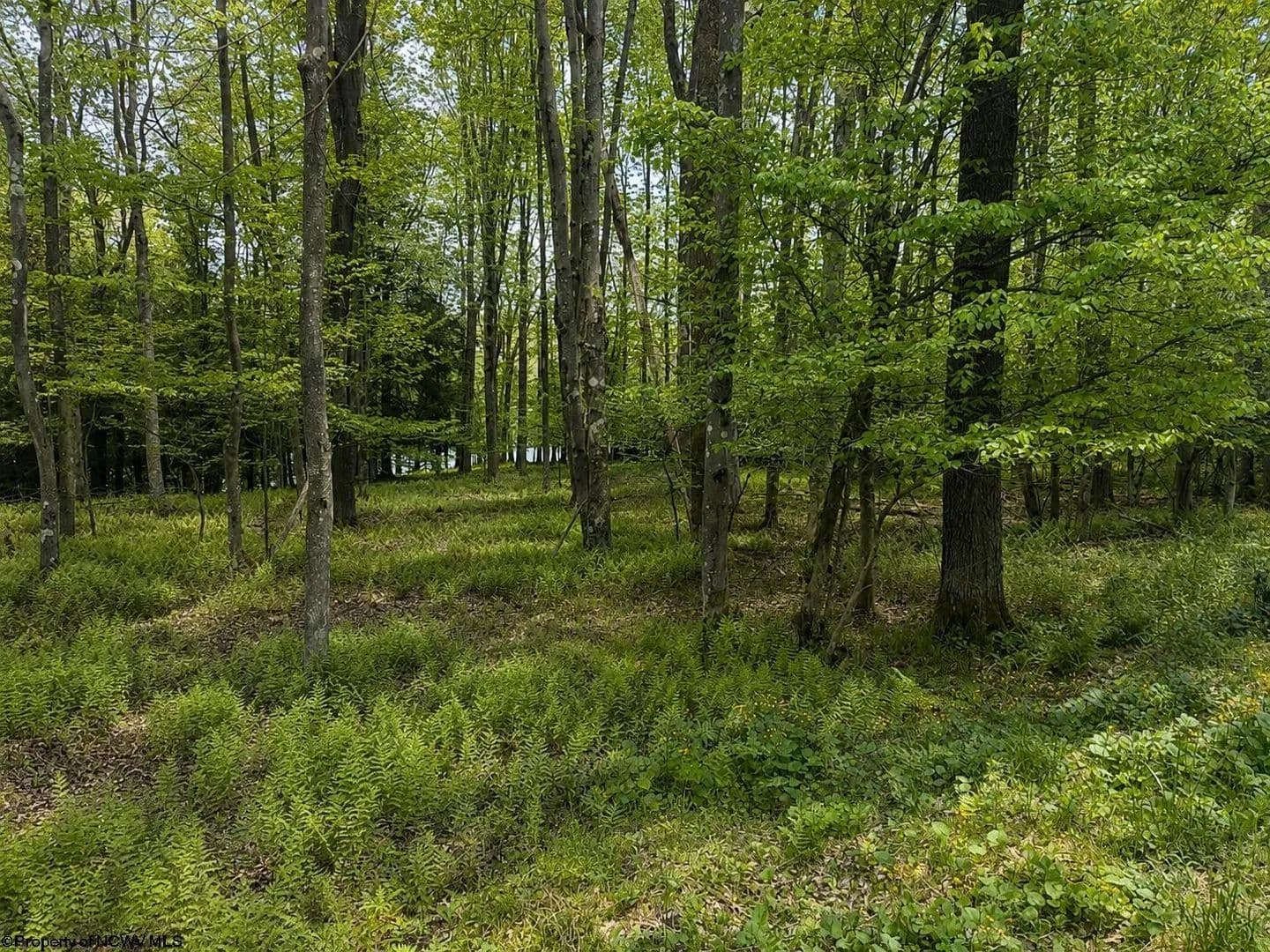 Property from Lots 175 & 176 Laurel Circle - KW - Terra Alta, West Virginia, 26764