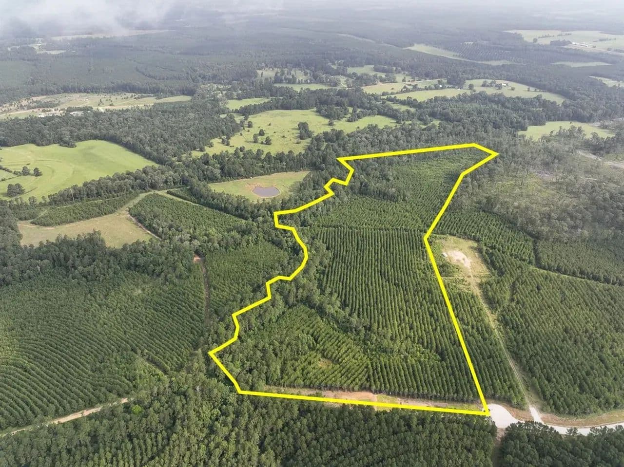 38 Acres | Cody Road - Indian Springs, Texas, 77351