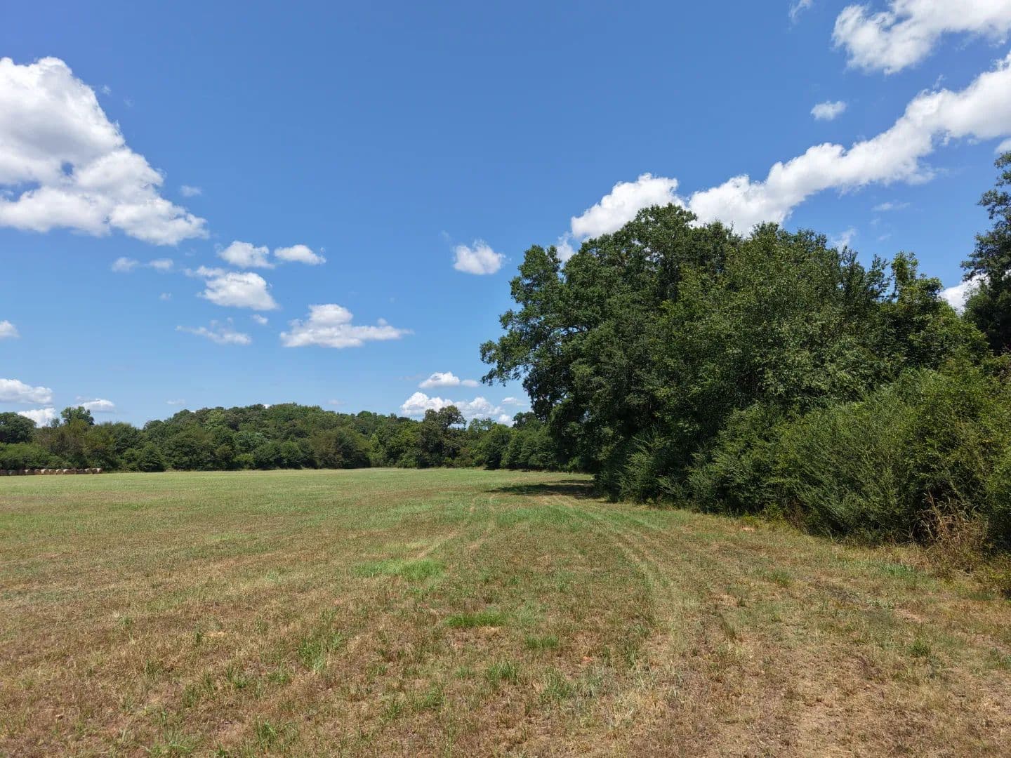 28.66 Acres in Polk County, AR  - Mena, Arkansas, 71953
