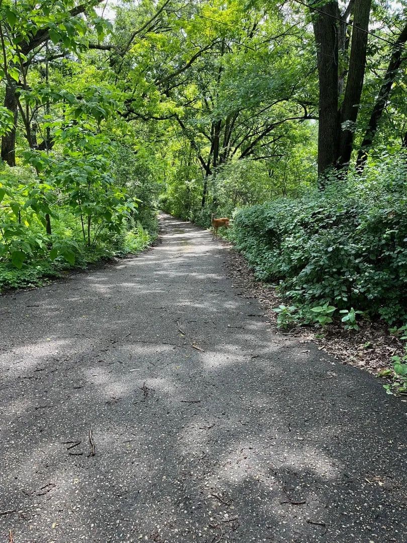 Vacant Land in Minnetonka