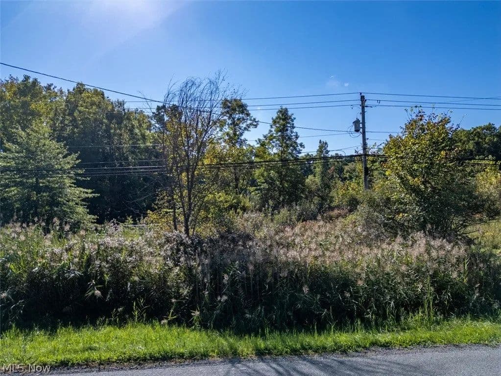 Lots & Land-Other in Ravenna - Ravenna, Ohio, 44266
