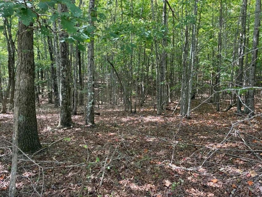 Land -Agricultural (Not Zoned) in Dunlap - Dunlap, Tennessee, 37327
