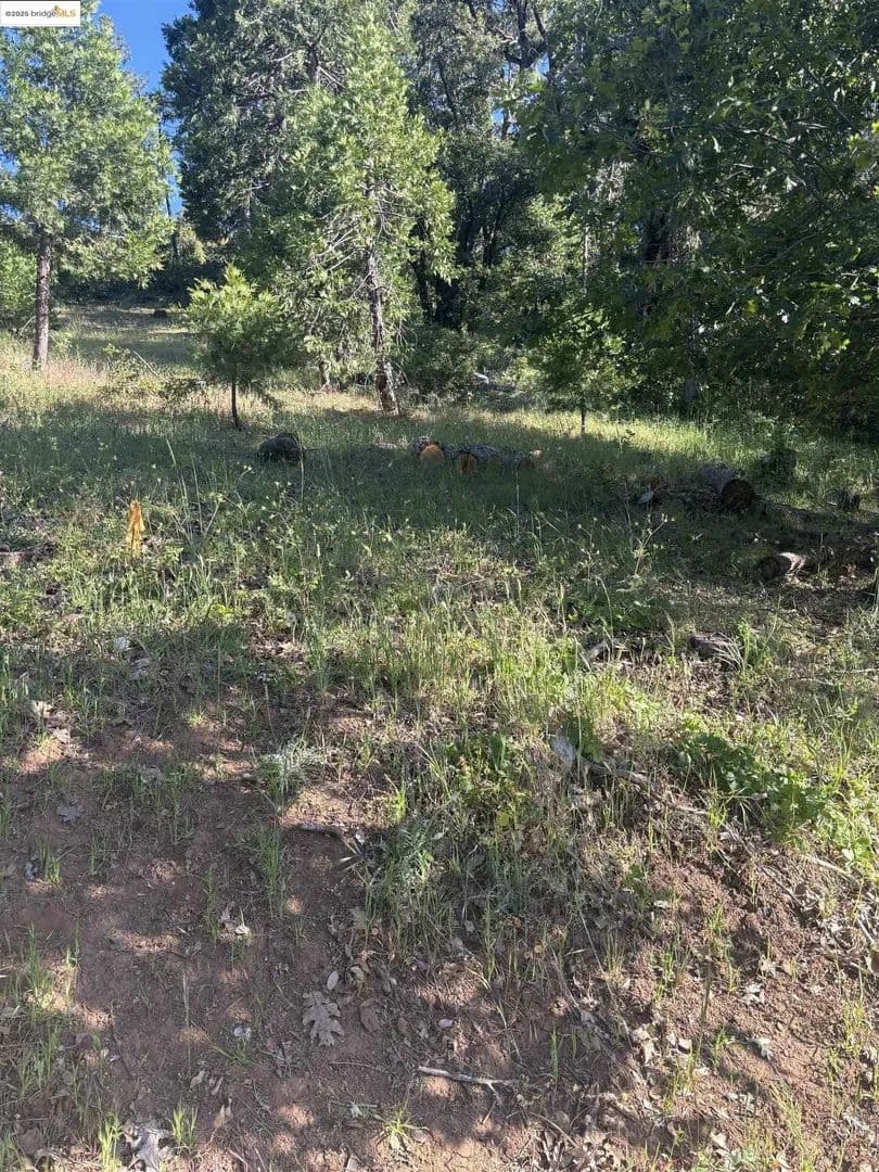 Lots & Land-Other in Tuolumne - Tuolumne, California, 95379