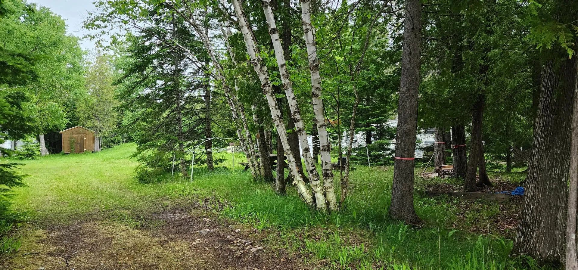 Vacant Land in Goetzville - Goetzville, Michigan, 49736