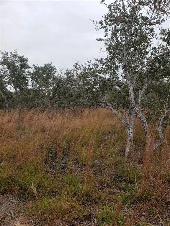 Property from 000 12th Street - KW