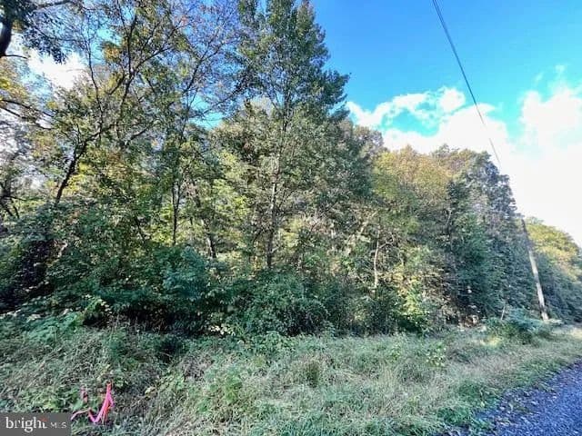 Land -Single Family Acreage in Edinburg - Edinburg, Virginia, 22824