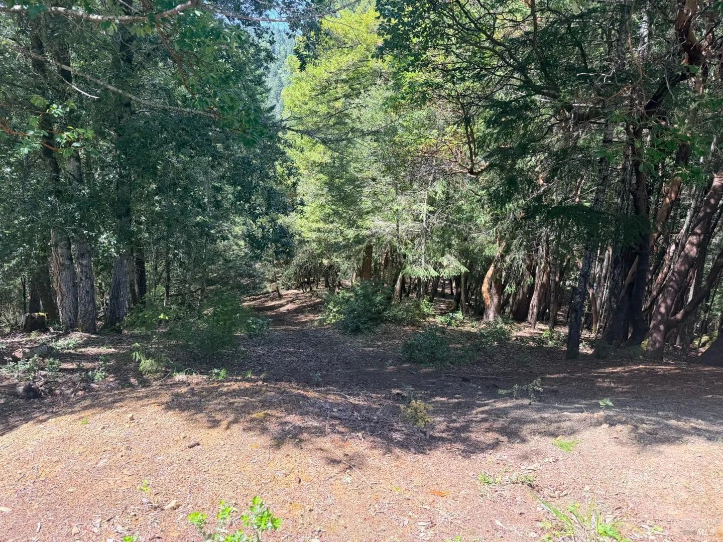 Land -Single Family Acreage in Willits - Willits, California, 95490