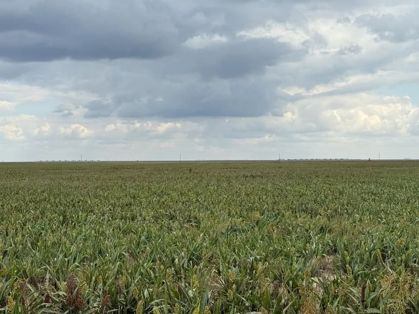 Dryland Farm with Irrigation Potential