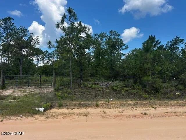 Vacant Land in Alford - Alford, Florida, 32420