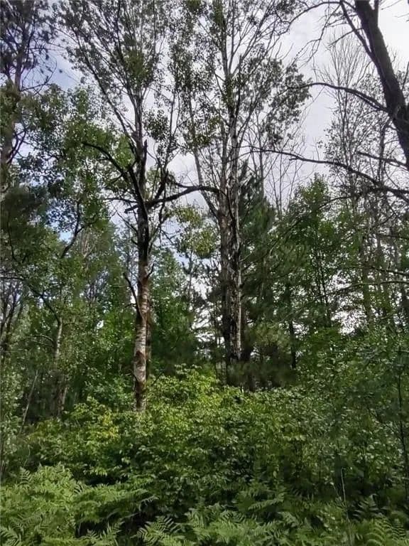 Lots & Land-Other in Sebeka