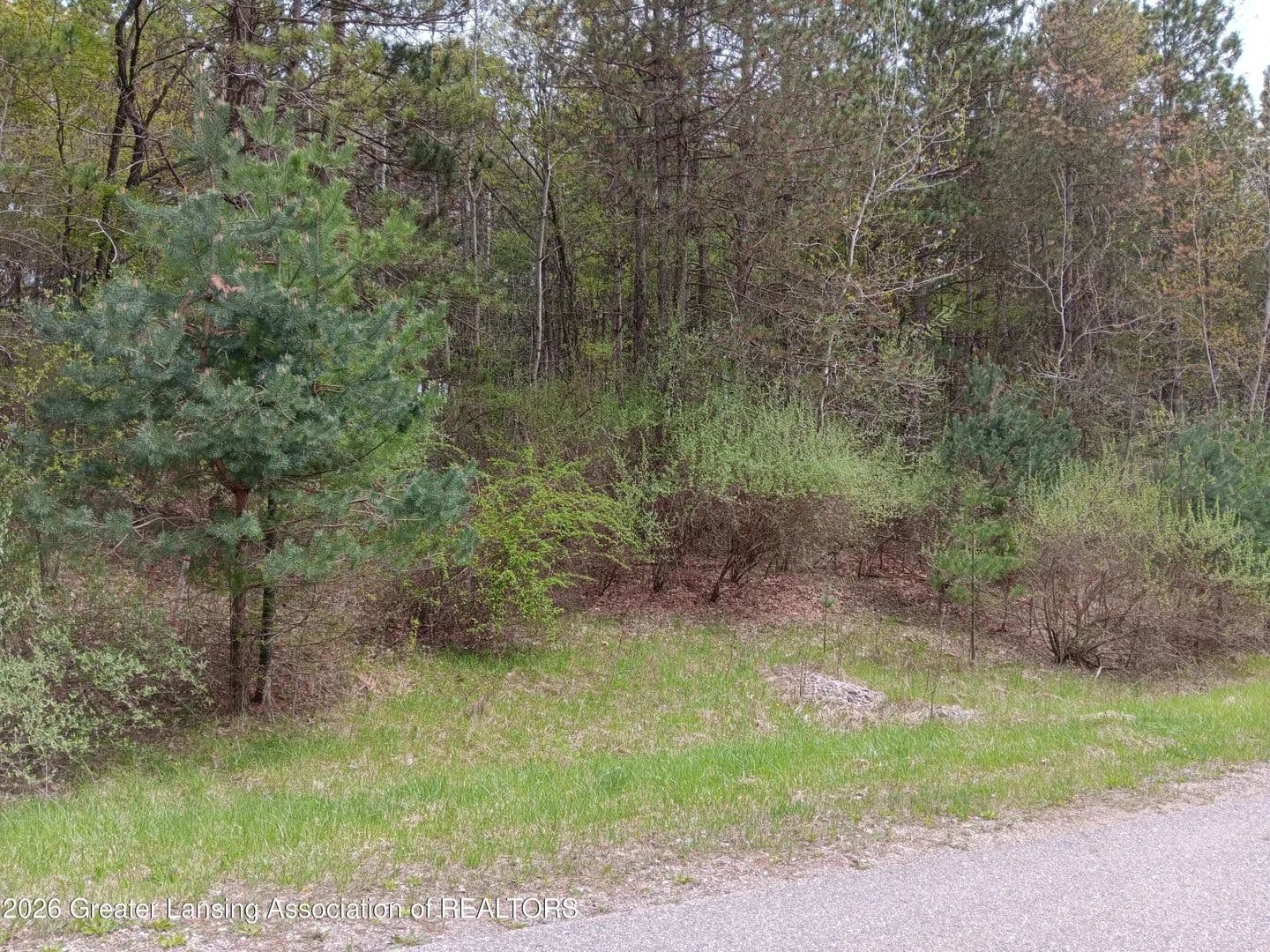 Lots & Land-Other in Owosso - Owosso, Michigan, 48867