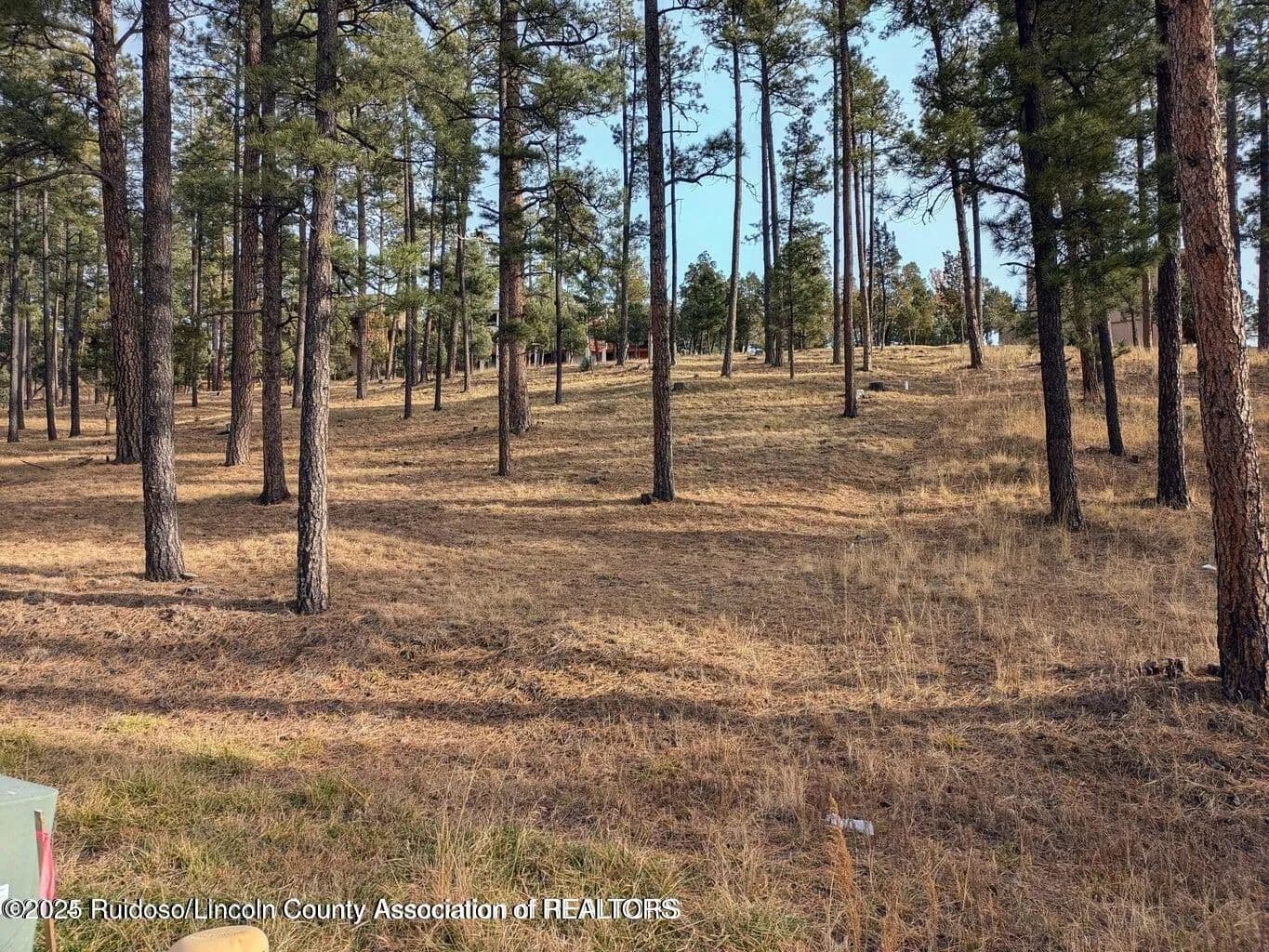 Land -Single Family Acreage in Ruidoso - Ruidoso, New Mexico, 88345