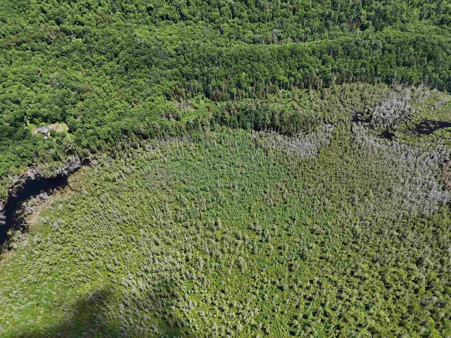 Lots & Land-Other in Brighton - Brighton, Vermont, 05846