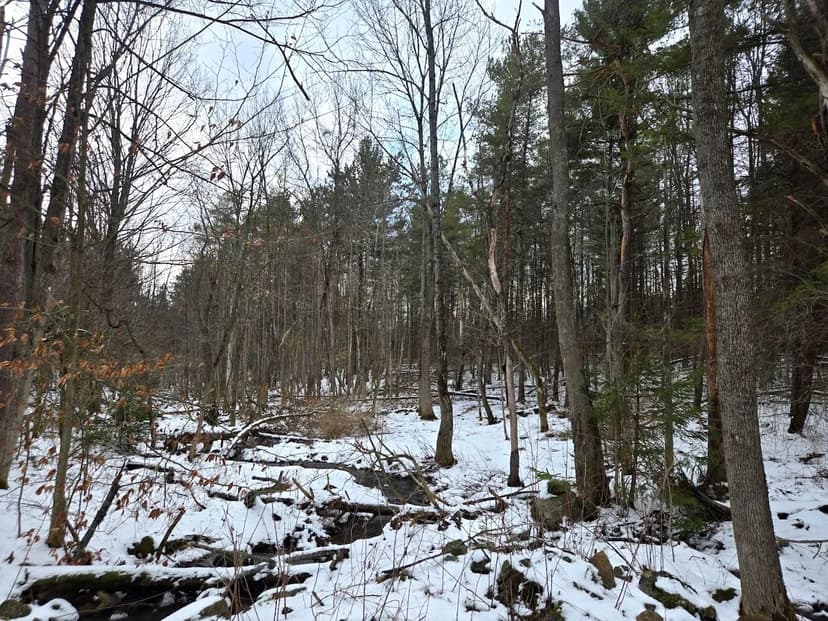 9 acre Building Lot and Hunting Land with Creek in Orangeville NY Syler Road