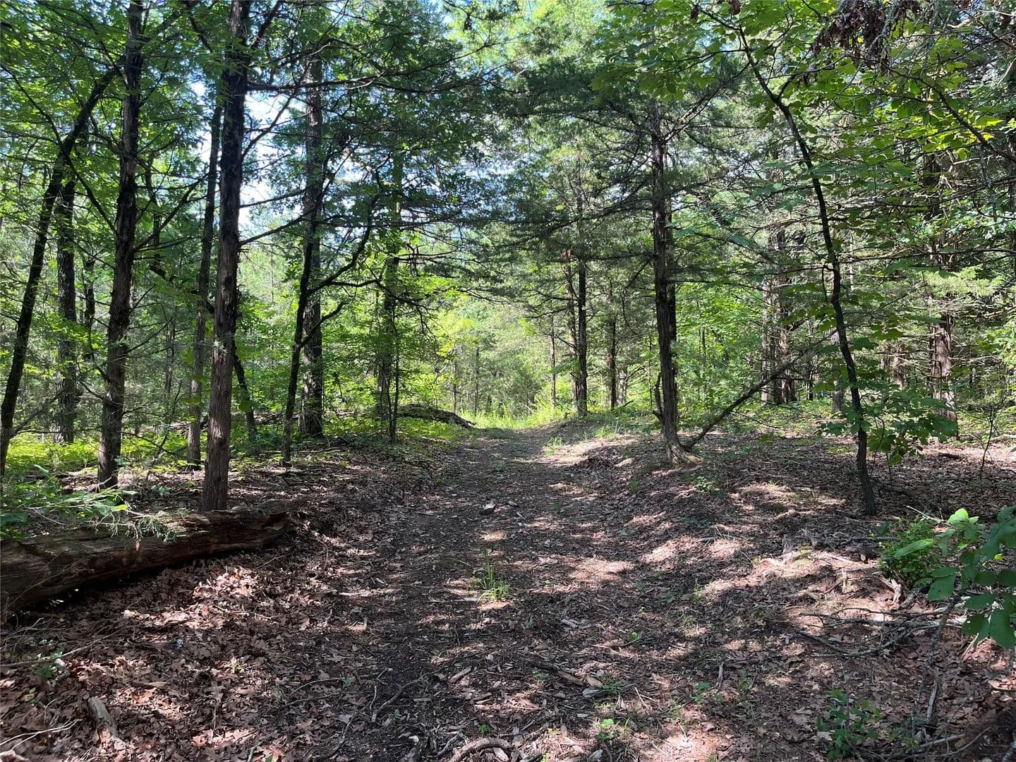 27.02 Acres of Land for Sale in Monkstown, TX - Monkstown, Texas, 75446