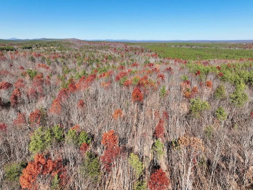 UNDER CONTRACT!!  9.21 acres of residential and recreational land in Appomattox County, VA!